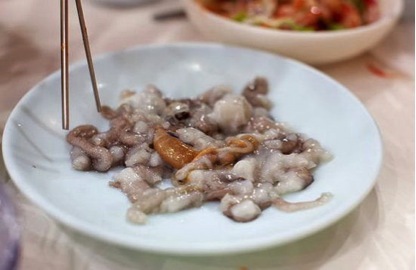 生活不只有眼前的苟且，还有吃和远方——济州岛马拉松城记