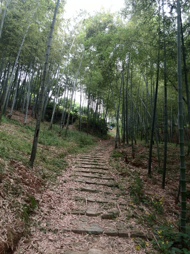 难得一遇好赛事:5.24九龙湖春游记