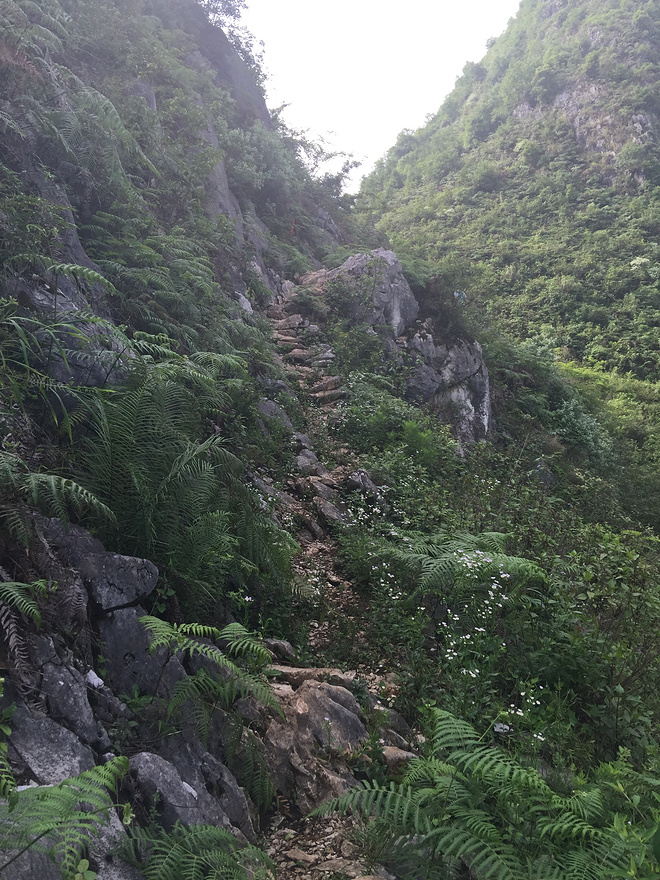 野趣丛生--贵州格凸河丛林穿越测线报告