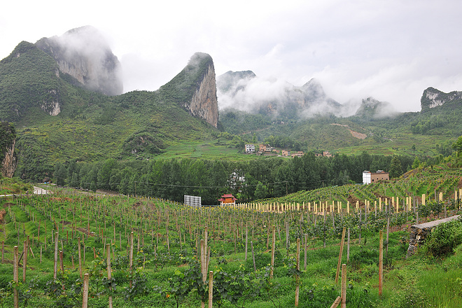 野趣丛生--贵州格凸河丛林穿越测线报告