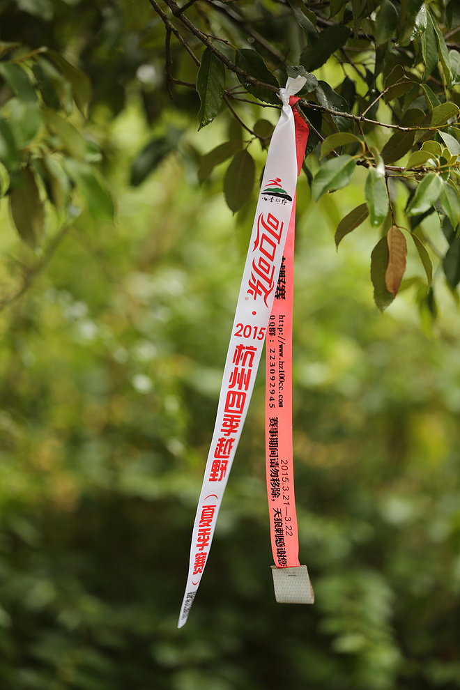 弃赛未果                                              -----小记2015杭州四季越野夏季赛