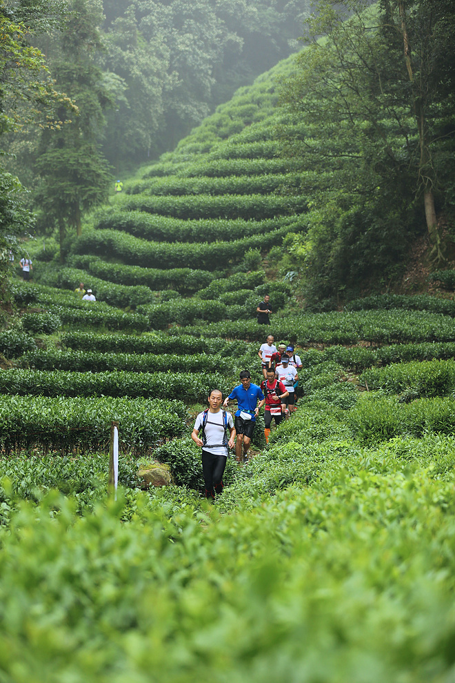 弃赛未果                                              -----小记2015杭州四季越野夏季赛