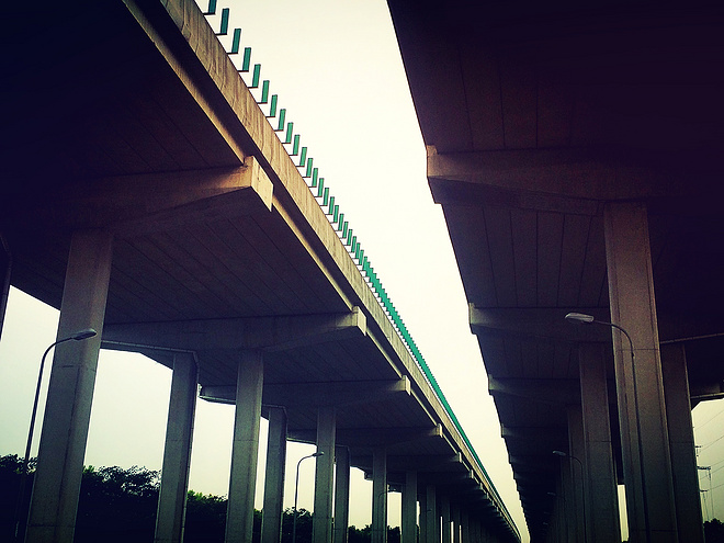 熊熊 | 成功挑战上海郊环200公里，用脚步丈量魔都