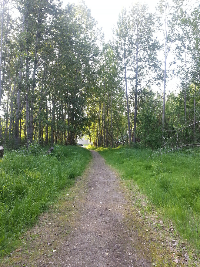 我的美国跑步日记（11）阿拉斯加"市长的午夜太阳"马拉松