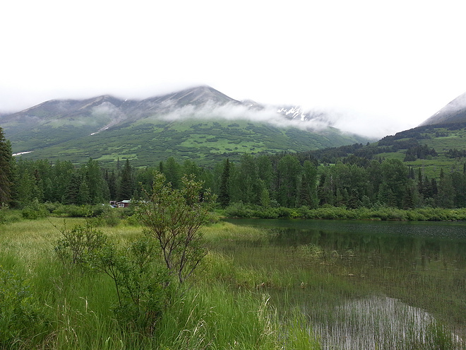 我的美国跑步日记（11）阿拉斯加"市长的午夜太阳"马拉松