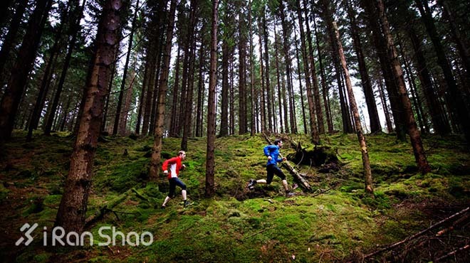 训练 | 七种方式，可以轻松提高速度而不增加里程