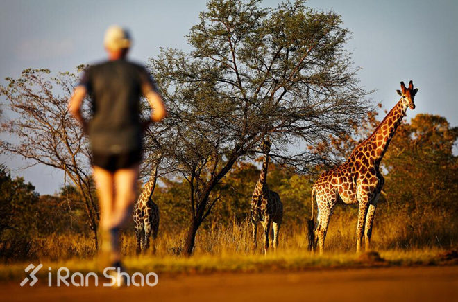 2015年度回顾  | 国际马拉松小事纪回忆录（1-6月）