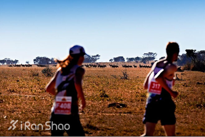 五大野兽马拉松 | 用一场马拉松来体验一片神奇的土地