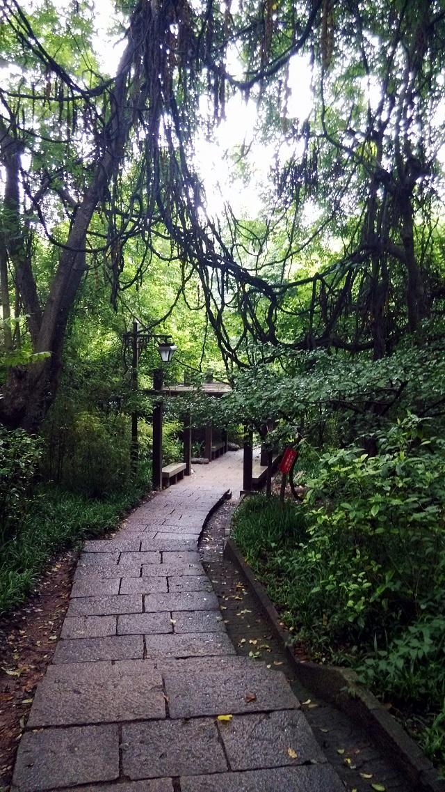 弃赛未果                                              -----小记2015杭州四季越野夏季赛