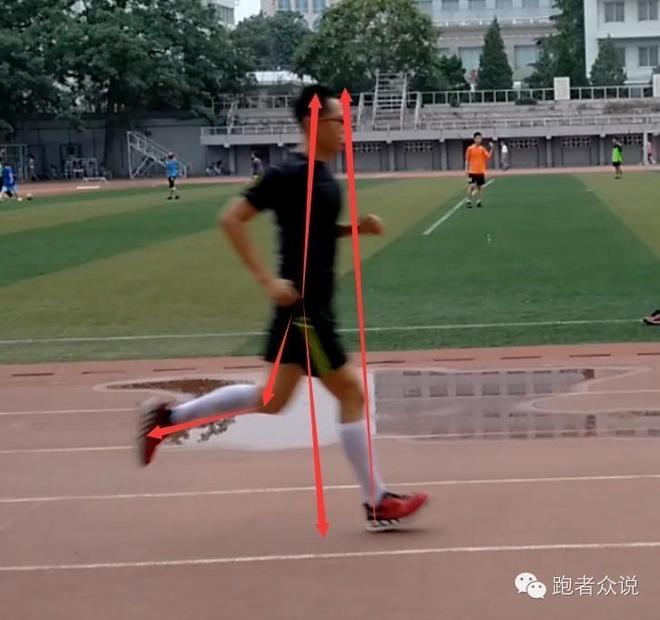 祭出子母剑LP SUPPORT 204Z试用报告