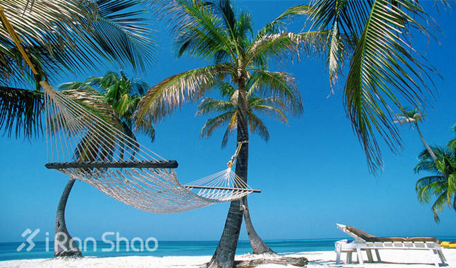 2015年度回顾  | 国际马拉松小事纪回忆录（1-6月）