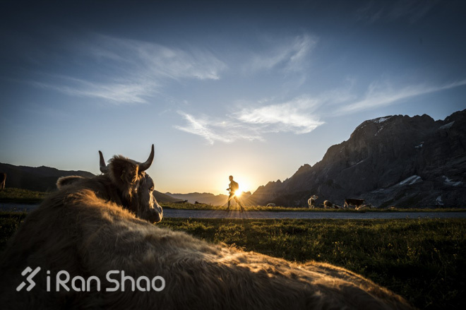 聚焦 | 北壁的呼唤，艾格峰超马越野赛