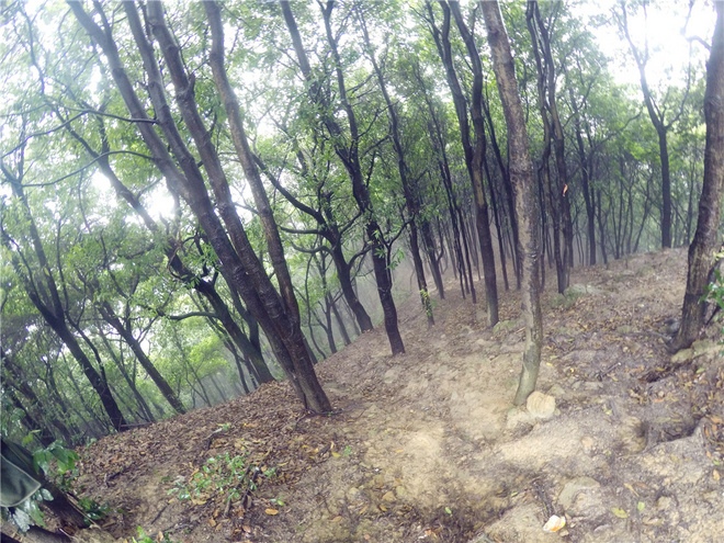 我也不是大无畏 唯独有这点英勇——记火龙越野线