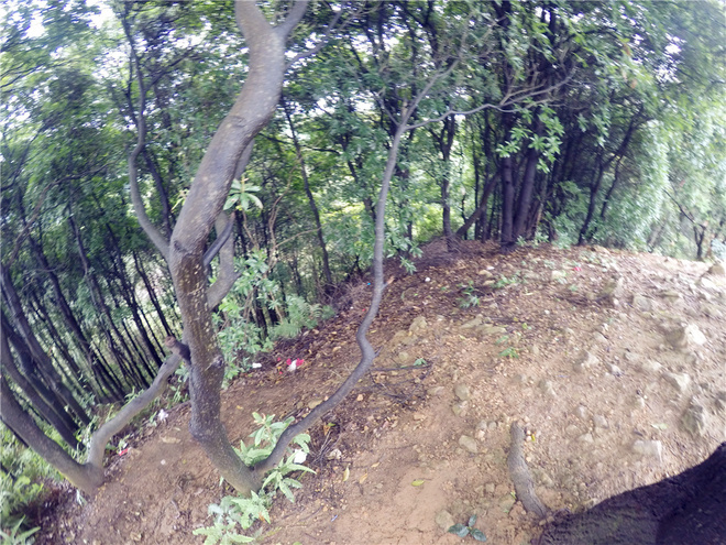 我也不是大无畏 唯独有这点英勇——记火龙越野线