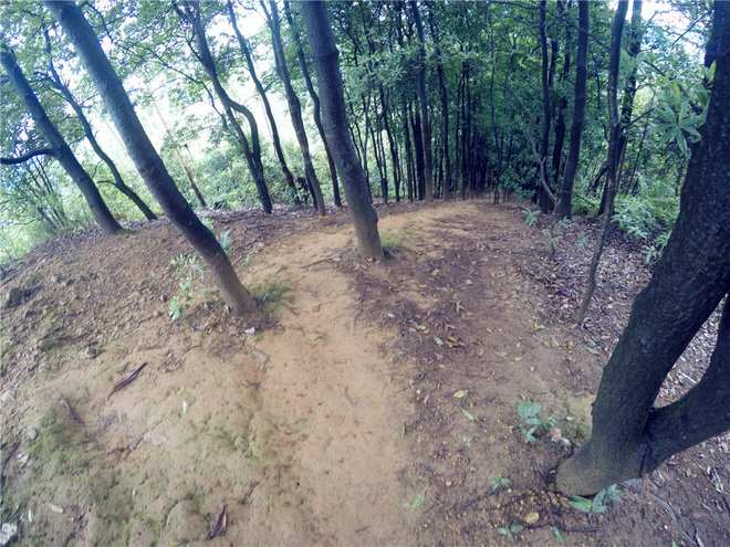 我也不是大无畏 唯独有这点英勇——记火龙越野线