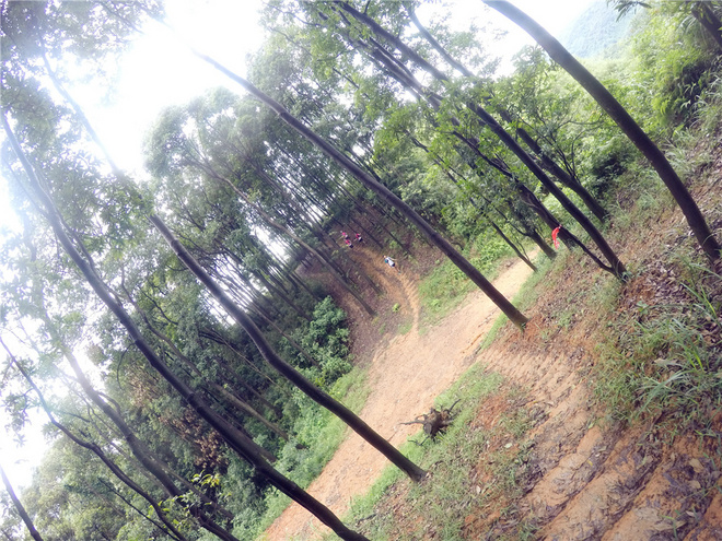 我也不是大无畏 唯独有这点英勇——记火龙越野线