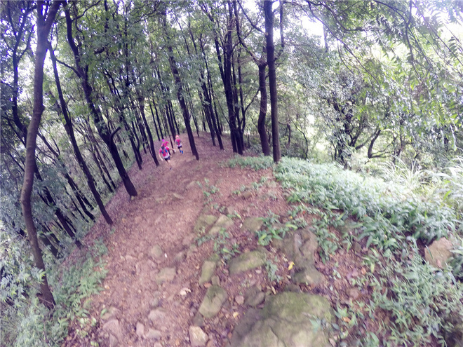 我也不是大无畏 唯独有这点英勇——记火龙越野线