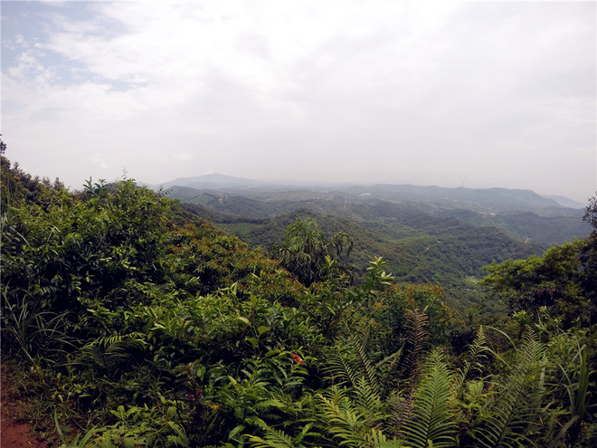 我也不是大无畏 唯独有这点英勇——记火龙越野线