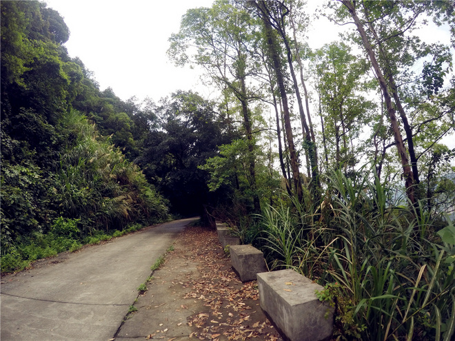 我也不是大无畏 唯独有这点英勇——记火龙越野线