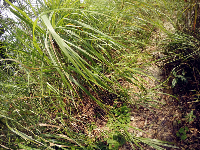 我也不是大无畏 唯独有这点英勇——记火龙越野线