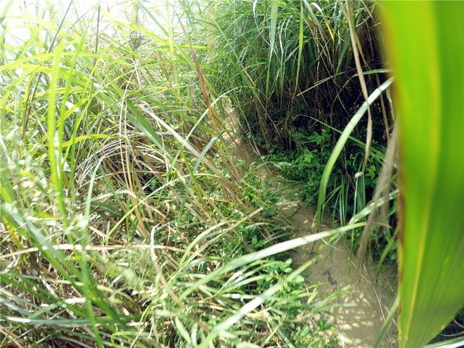 我也不是大无畏 唯独有这点英勇——记火龙越野线