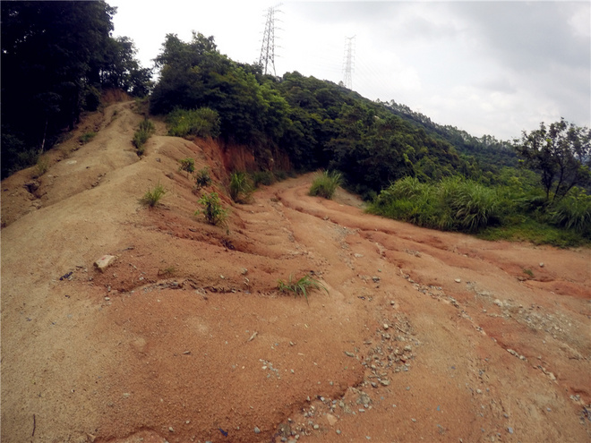 我也不是大无畏 唯独有这点英勇——记火龙越野线