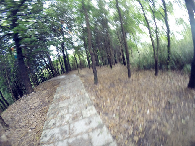 我也不是大无畏 唯独有这点英勇——记火龙越野线