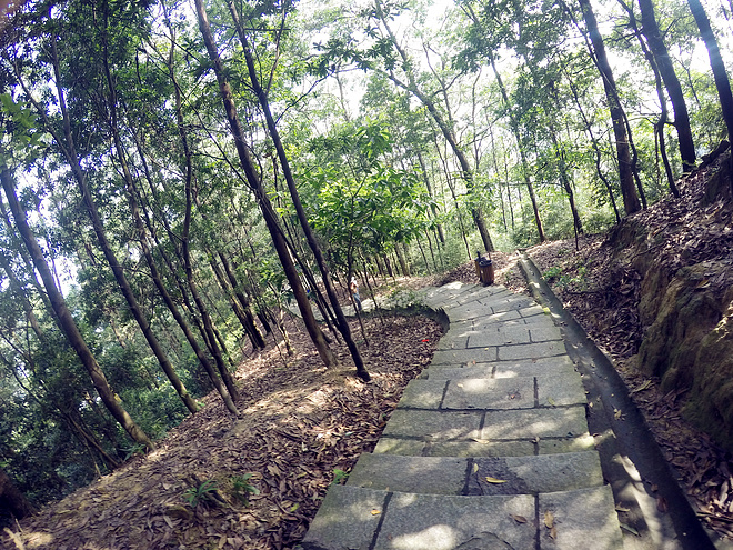 紫迷心窍  回馈双眼一场科幻盛宴——OAKLEY Radar EV 深度测评