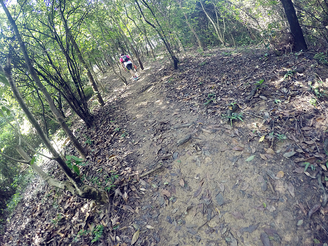 紫迷心窍  回馈双眼一场科幻盛宴——OAKLEY Radar EV 深度测评