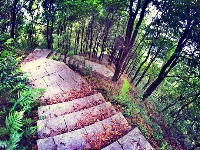 紫迷心窍  回馈双眼一场科幻盛宴——OAKLEY Radar EV 深度测评