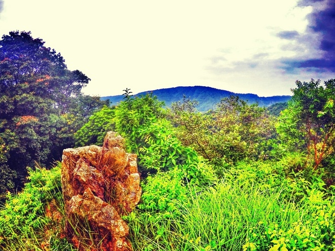 紫迷心窍  回馈双眼一场科幻盛宴——OAKLEY Radar EV 深度测评