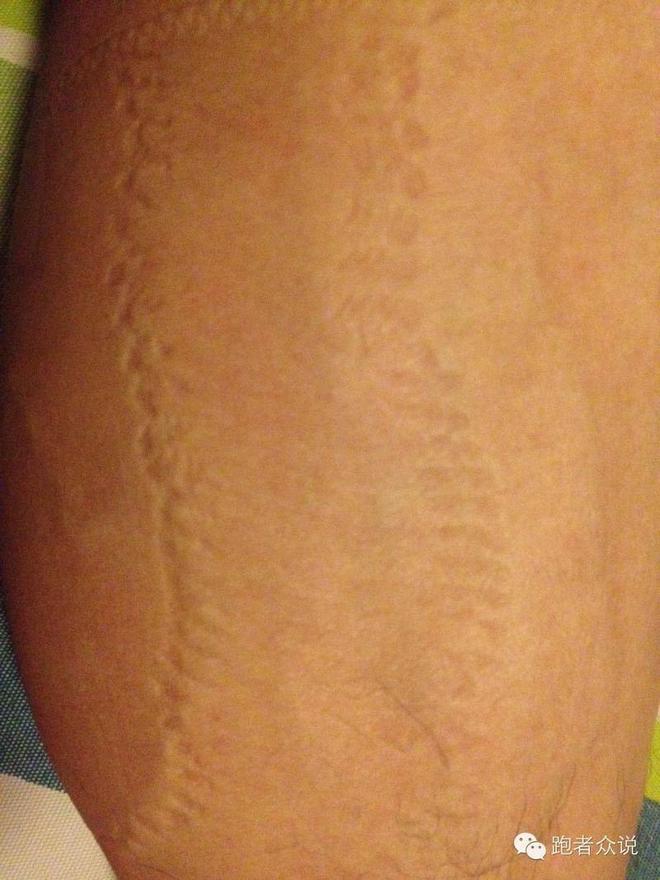 祭出子母剑LP SUPPORT 204Z试用报告