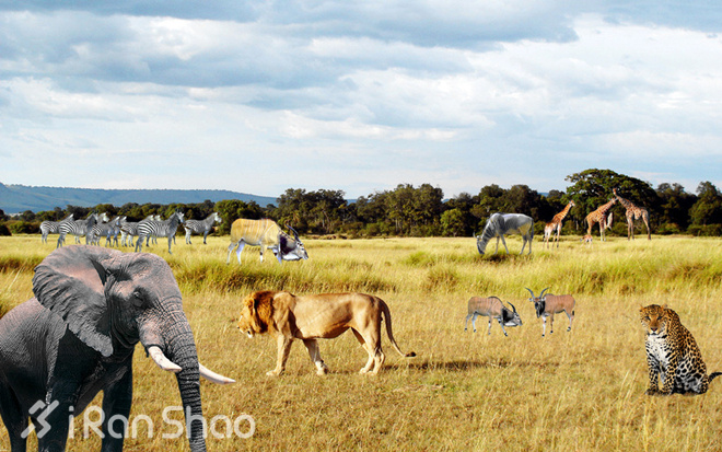 五大野兽马拉松 | 用一场马拉松来体验一片神奇的土地
