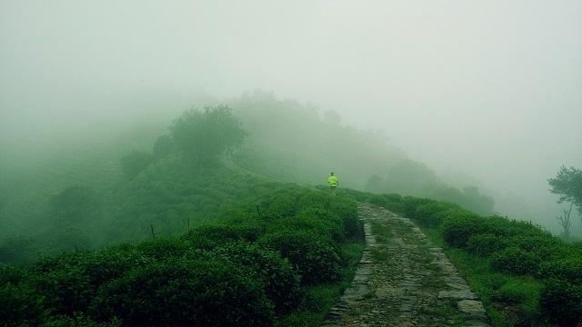 弃赛未果                                              -----小记2015杭州四季越野夏季赛