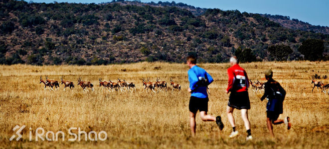 五大野兽马拉松 | 用一场马拉松来体验一片神奇的土地