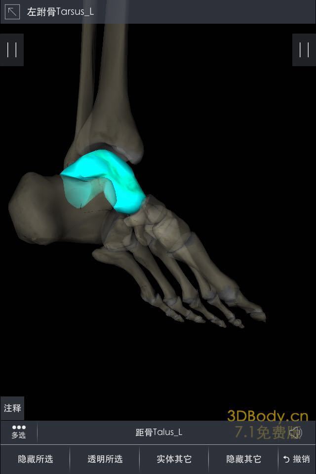 跑步踝关节内外翻杂谈