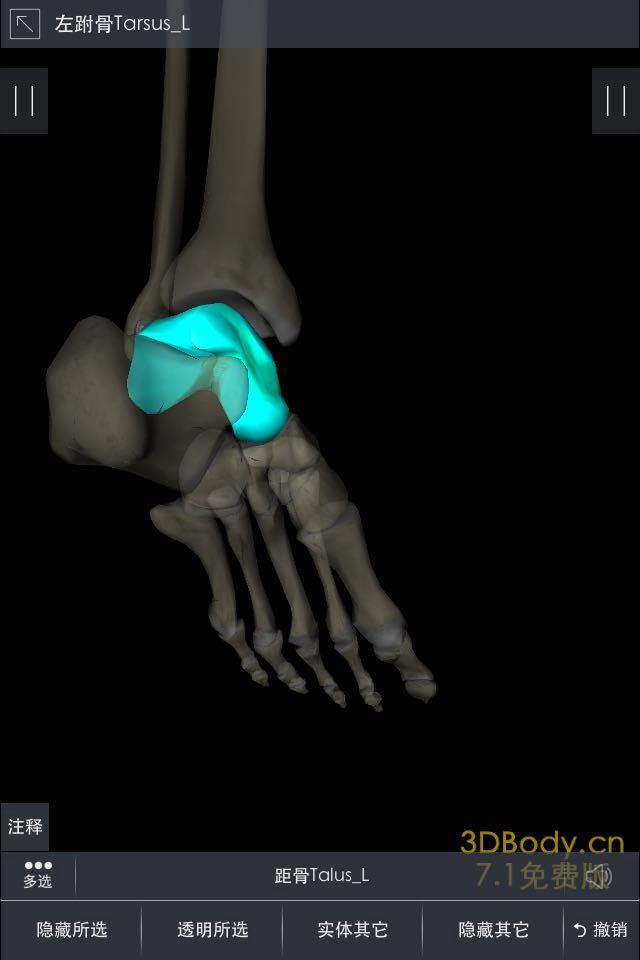 跑步踝关节内外翻杂谈
