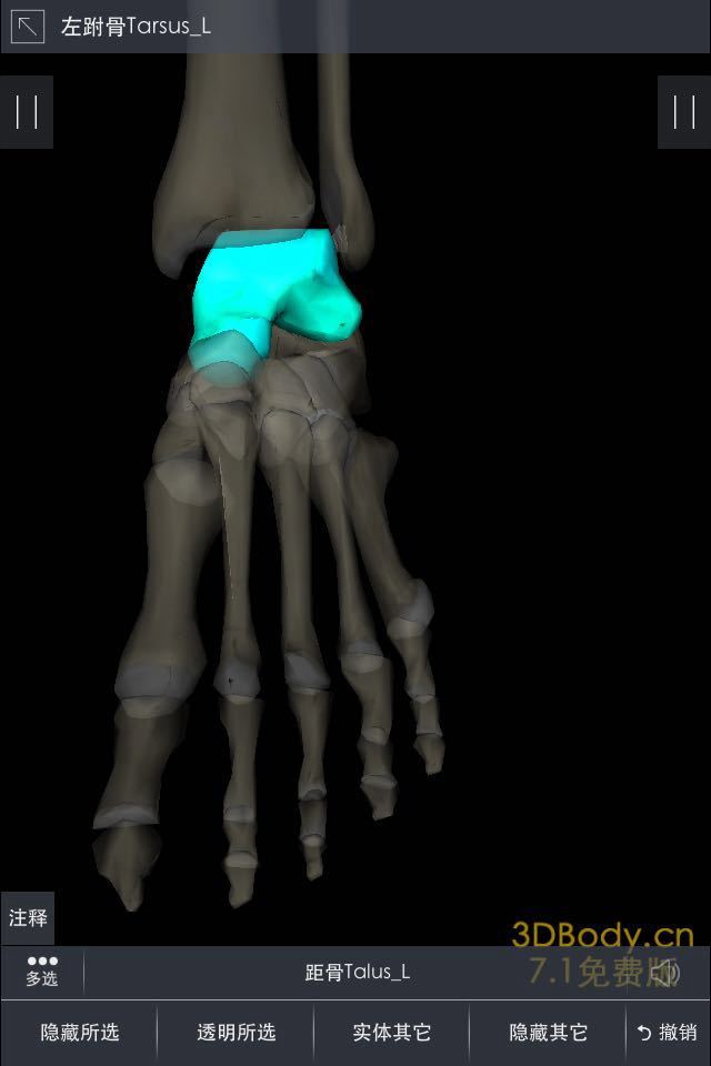 跑步踝关节内外翻杂谈