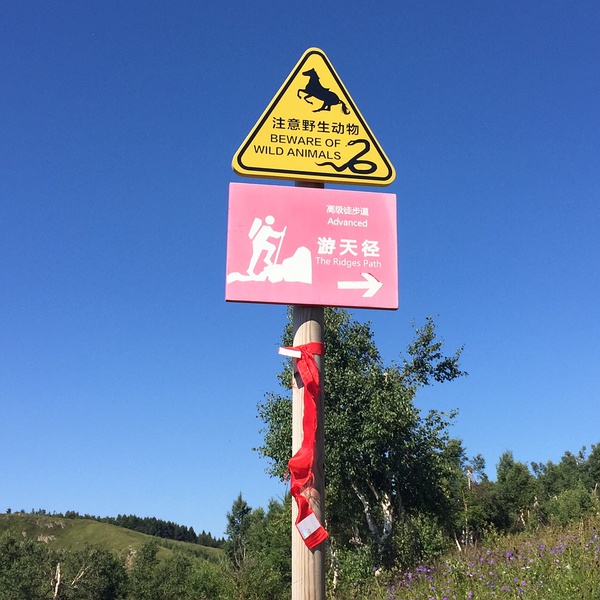 跑在2015 | 不如撒野