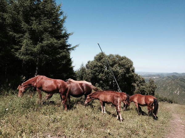 跑在2015 | 不如撒野