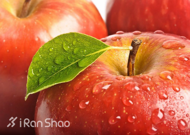 经验 | 跑步再加上这十种食物更有助于减肥和保持身材