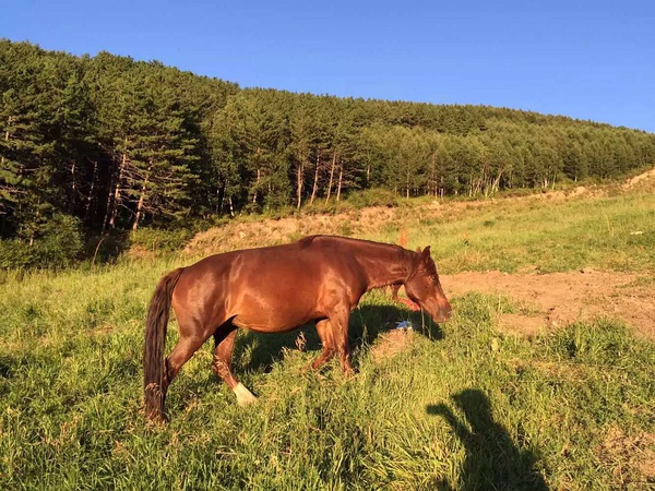 跑在2015 | 不如撒野