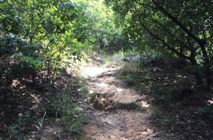 跑在2015 | 云山多秀色 绝妙在此间——记KOCR广州之巅挑战赛