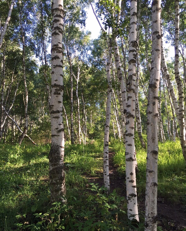 跑在2015 | 不如撒野