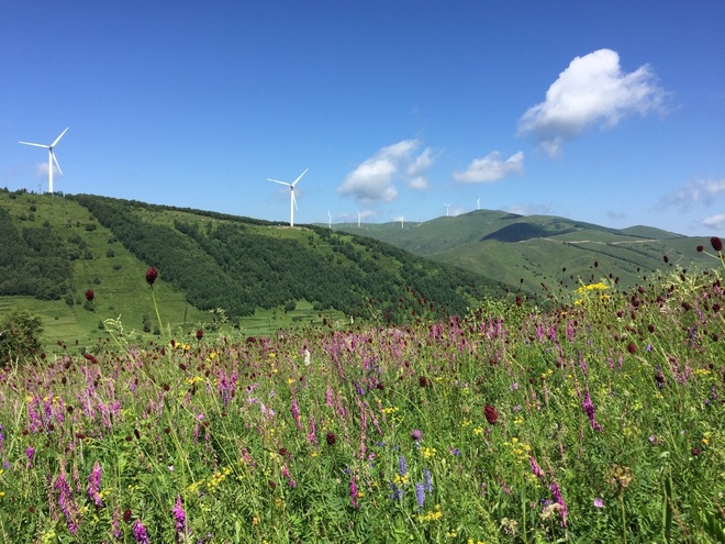 第一次50，第一次夜战——崇礼50战报