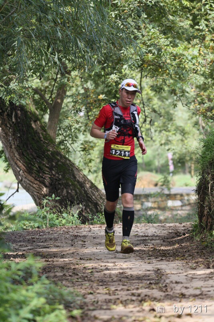 格凸的奇幻之旅