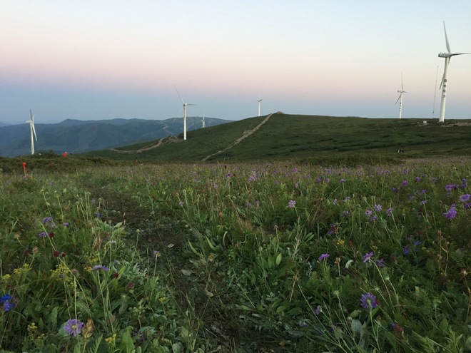 第一次50，第一次夜战——崇礼50战报