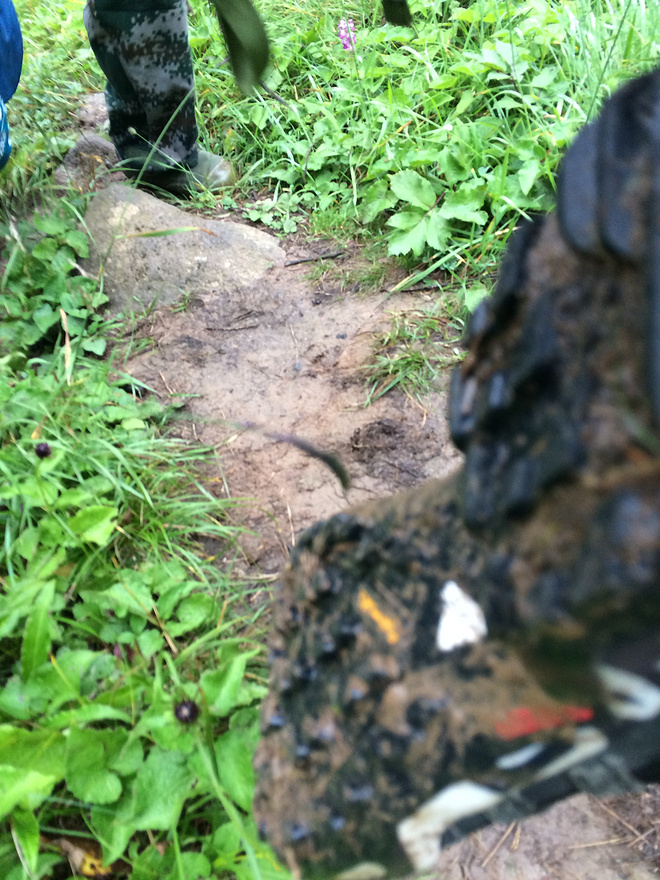 太白之巅——Adidas轻量户外徒步鞋初体验