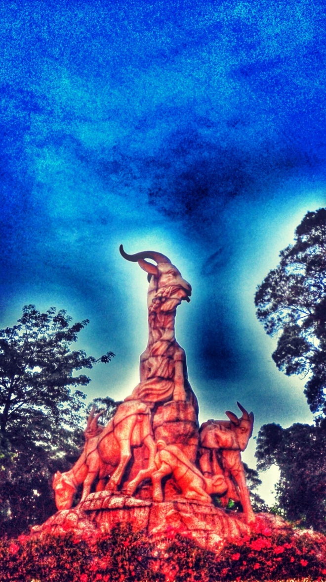 怦然【芯】动  赤兔不战沙场跃在跑道——李宁赤兔智能跑鞋测评