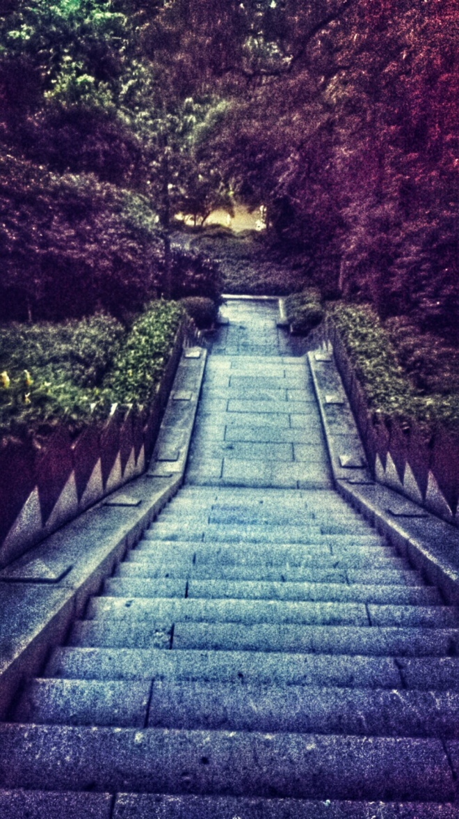 怦然【芯】动  赤兔不战沙场跃在跑道——李宁赤兔智能跑鞋测评